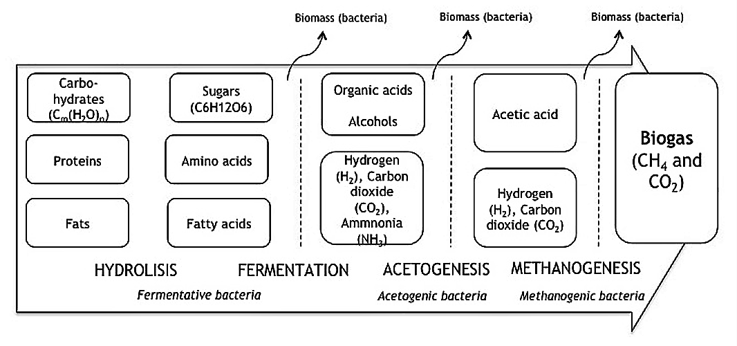 Anaerobic Digestion (General) | SSWM - Find Tools For Sustainable ...